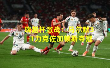 瑞超杯激战：马尔默3-1力克佐加顿斯夺冠